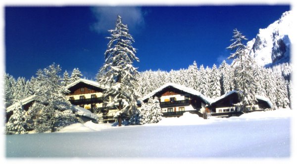 Nord. Ski-WM 1999 (fast 2 Meter Schnee!)